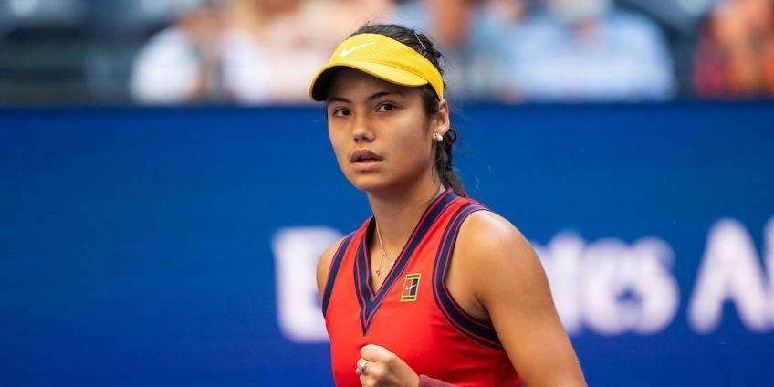 粉丝和媒体 粉丝和媒体